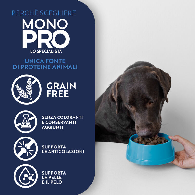 Monopro Dog Adult Medium&Large Grain Free Salmone 12 Kg
