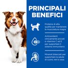 Hill's Science Plan Dog Adult Mature 7+ Manzo 370 gr