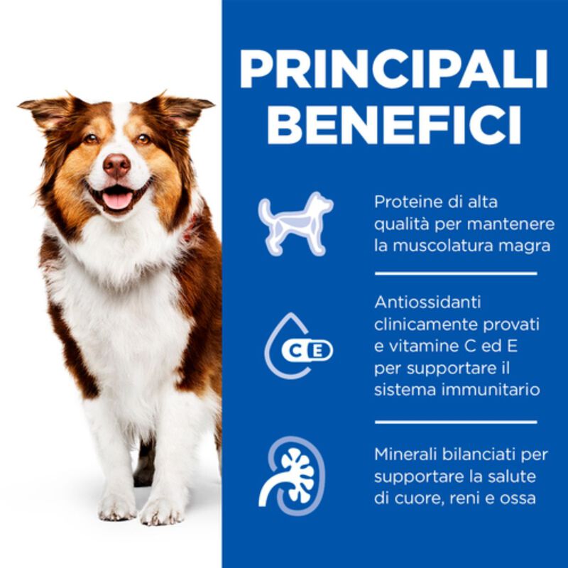 Hill's Science Plan Dog Adult Mature 7+ Manzo 370 gr