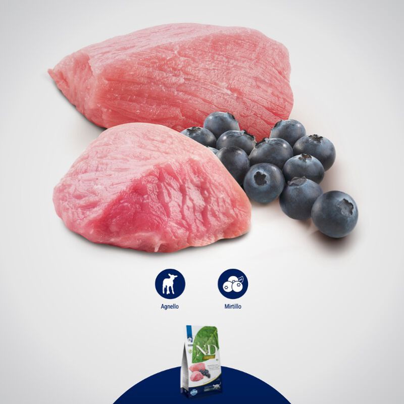 Farmina N&D Prime Cat Adult Agnello e Mirtillo 300 gr