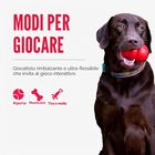 Kong Reflex Tug per cani Giallo 1 pz