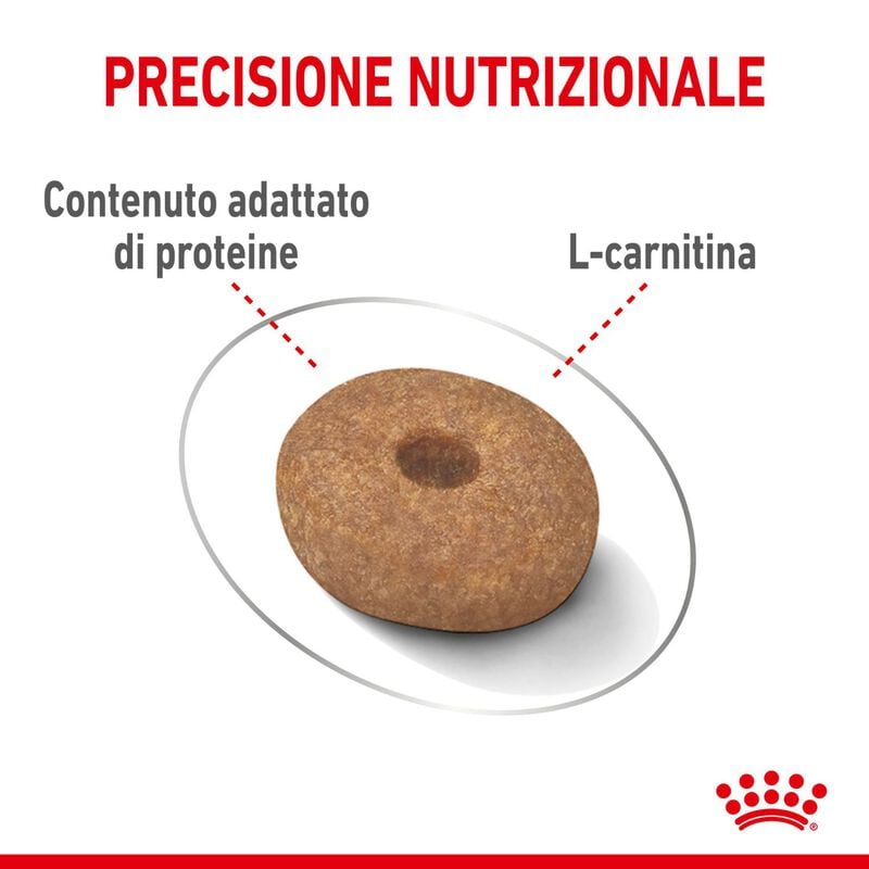 Royal Canin Dog Mini Adult e Senior Light Weight Care 1 kg - Scad. Gennaio 26