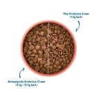 Wow Dog Adult Agnello con Salvia e Patate Dolci 6kg