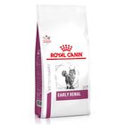 Royal Canin Veterinary Diet Cat Renal 400 gr