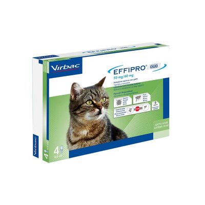 Virbac Effipro Duo Gatto 4 pipette 50-60 mg