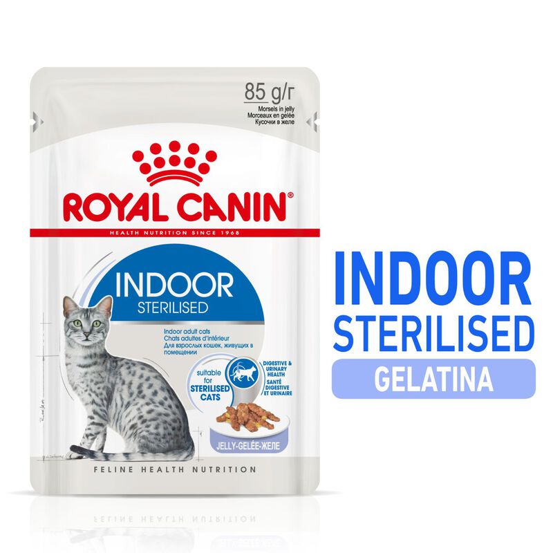 Royal Canin Cat Adult Indoor Sterilized Jelly 85 gr