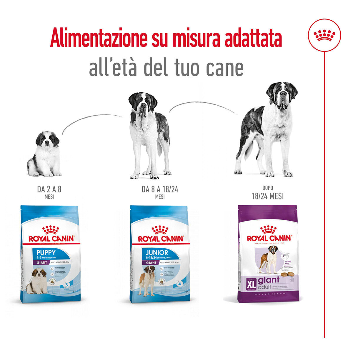 Royal Canin Dog Giant Adult 15 kg|L'Isola dei Tesori