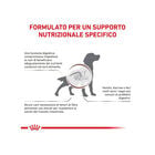 Royal Canin Veterinary Diet Dog Adult Gastrointestinal Hight Fiber 410 gr