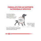 Royal Canin Veterinary Diet Dog Adult Gastrointestinal Hight Fiber 410 gr