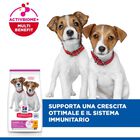 Hill's Science Plan Dog  Small & Mini Puppy al Pollo 1,5 kg