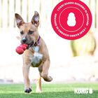 Kong Gioco Classic per cani M Rosso