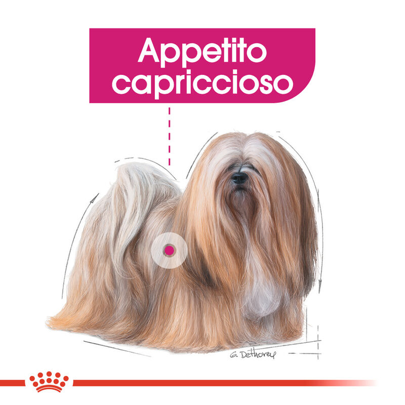 Royal Canin Dog Mini Adult e Senior Exigent 1 kg