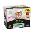 Purina Pro Plan Cat Adult Sterilised Maintenance con Manzo e Pollo in Salsa 24 x 85 gr