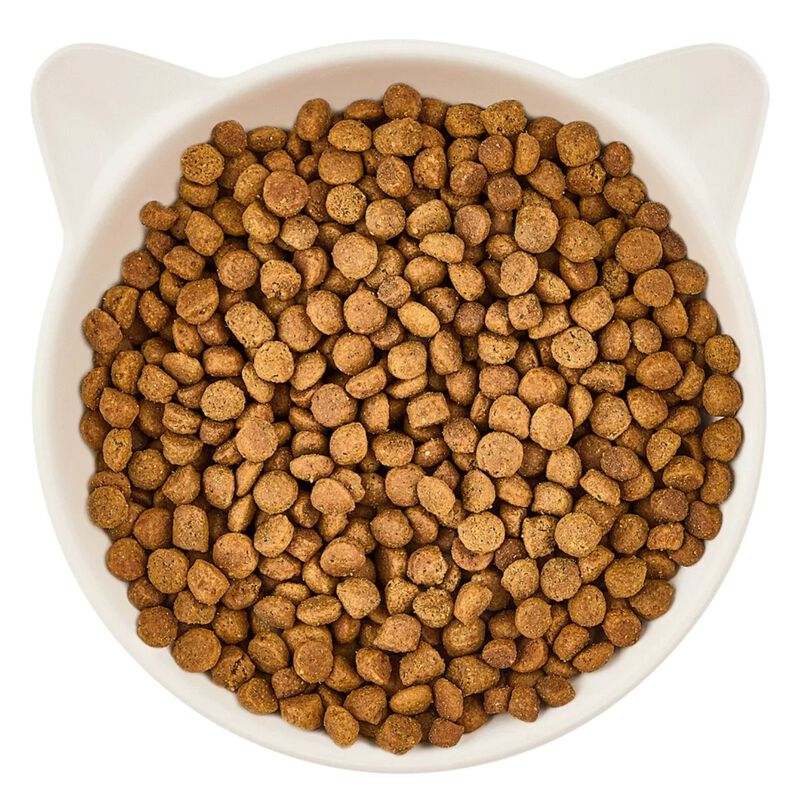 Wow Cat Kitten con Pollame e Carote 325 gr