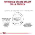 Royal Canin Veterinary Diet Cat Adult Gastrointestinal Hairball 2 kg