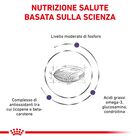 Royal Canin Veterinary Diet Cat Mature Consult 1,5 kg