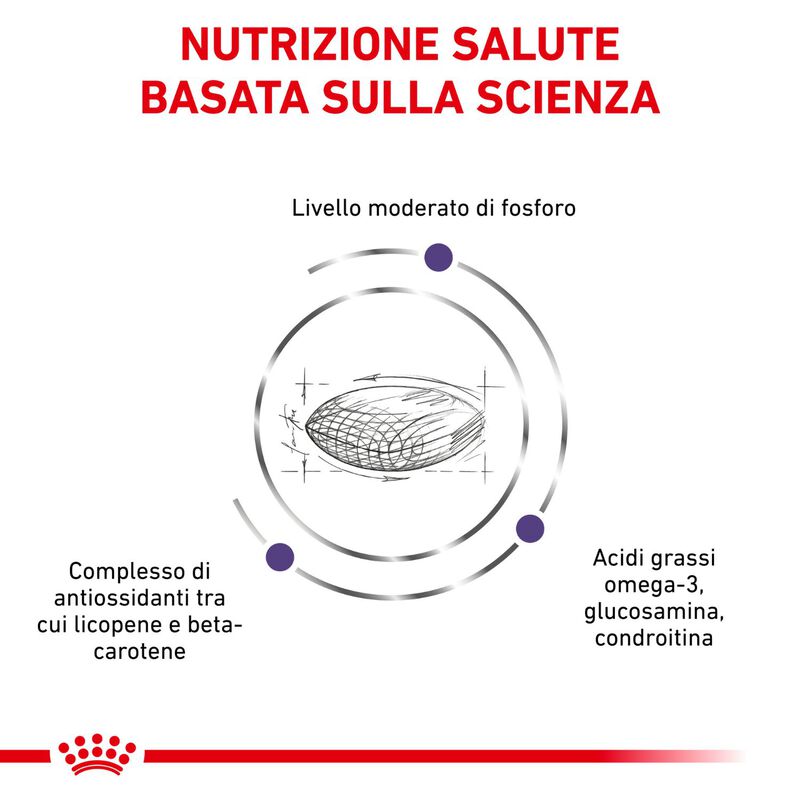 Royal Canin Veterinary Diet Cat Mature Consult 1,5 kg