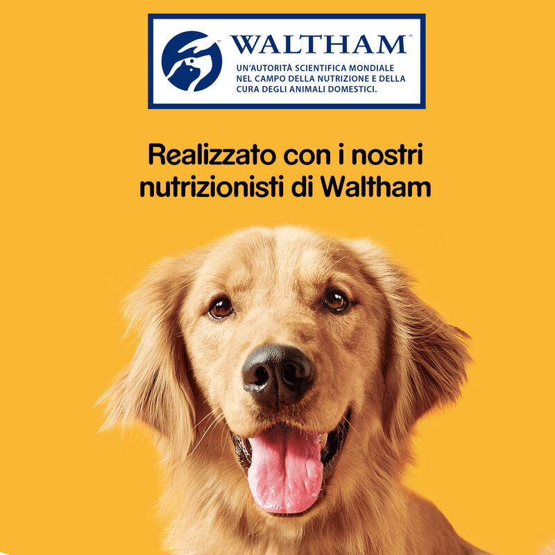 Pedigree Dog Adult Biscrock Multi mix 200 gr