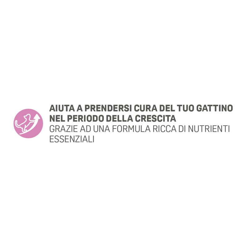 Natural Trainer Cat Kitten con Salmone 1,5 kg