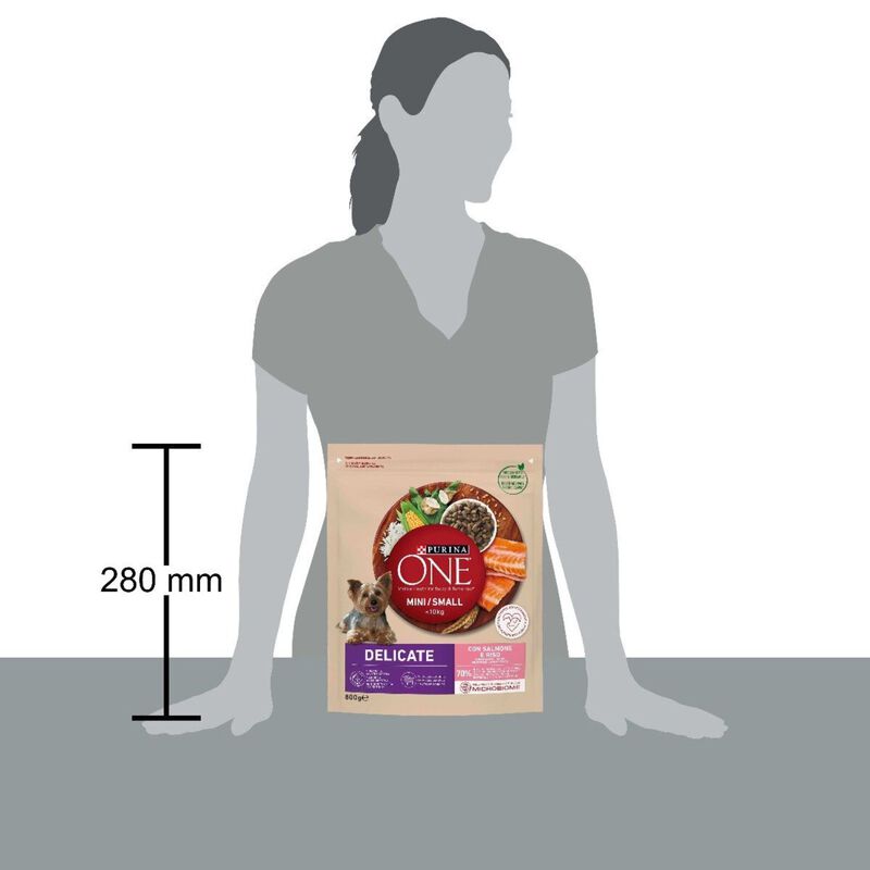 Purina One Dog Mini Delicate con Salmone e Riso 800 gr