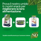 N&D Farmina Prime Cat Adult Agnello & Mirtillo 5 kg