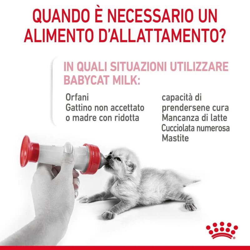 Royal Canin BabyCat Kitten Milk 300 gr - Scad. Gennaio 26