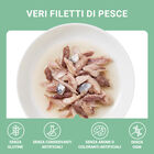Schesir Cat Tonnetto con Pesce Azzurro in Brodo 70g Schesir Cat Tonnetto con Pesce Azzurro in Brodo 70g