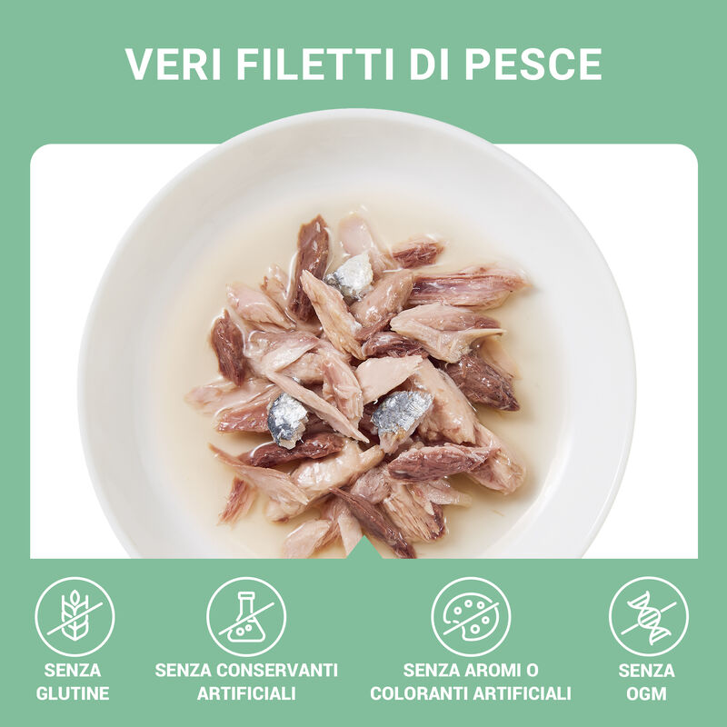 Schesir Cat Tonnetto con Pesce Azzurro in Brodo 70g Schesir Cat Tonnetto con Pesce Azzurro in Brodo 70g