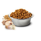 Farmina N&D Ocean Cat Adult Merluzzo, Farro, Avena e Arancia 1,5 kg