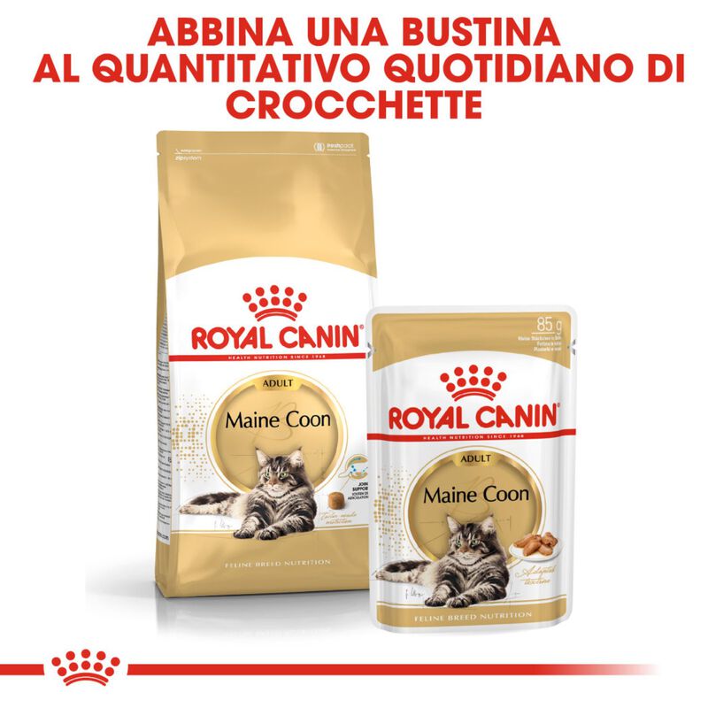 Royal Canin Cat Maine Coon 85 gr