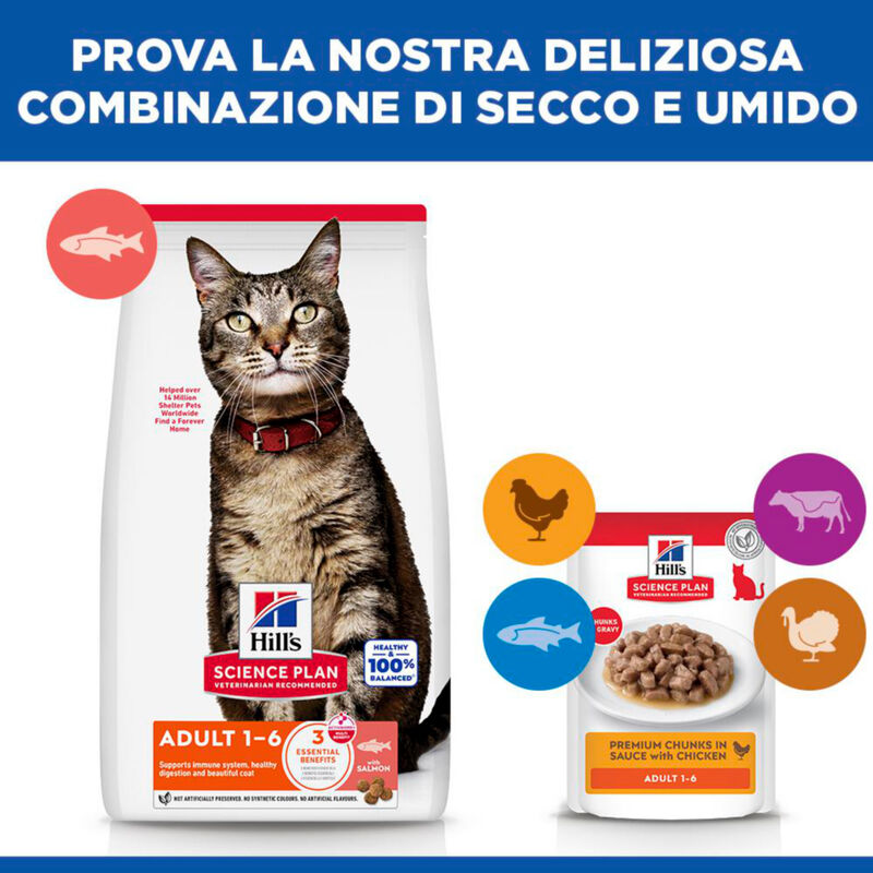 Hill's Science Plan Cat Adult 1-6 con Salmone 10 kg