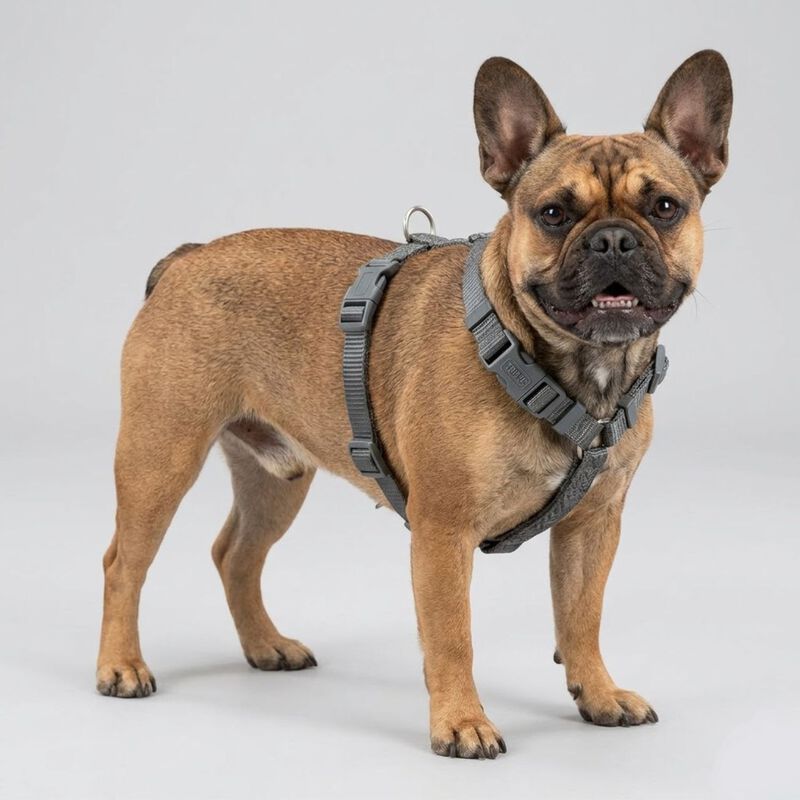 Trixie Premium Pettorina ad H Color Verde Tg S-M