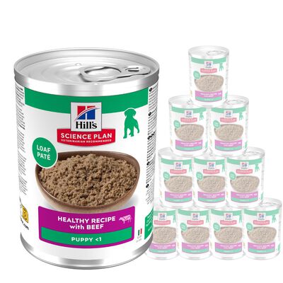 Hill's Science Plan Puppy con Manzo 370gr
