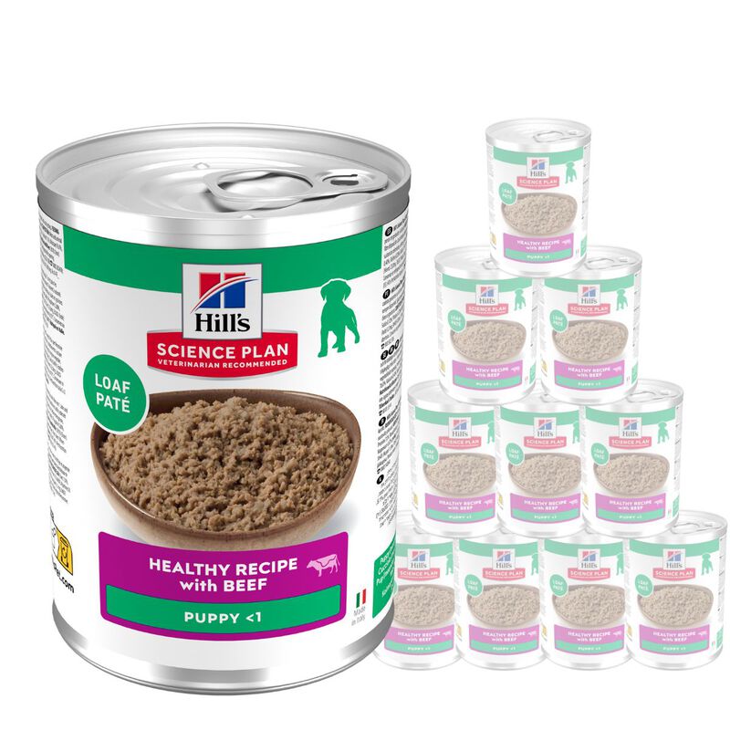 Hill's Science Plan Puppy con Manzo 370gr