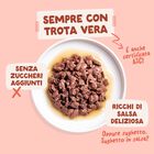 Edgard & Cooper Bocconcini in Salsa per gatti Trota 85 gr