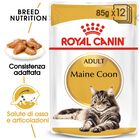 Royal Canin Cat Maine Coon 85 gr