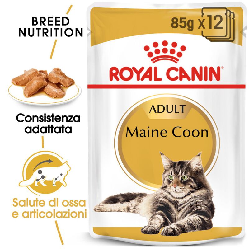 Royal Canin Cat Maine Coon 85 gr