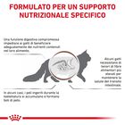 Royal Canin Veterinary Diet Cat Adult Gastrointestinal Hairball 400 gr