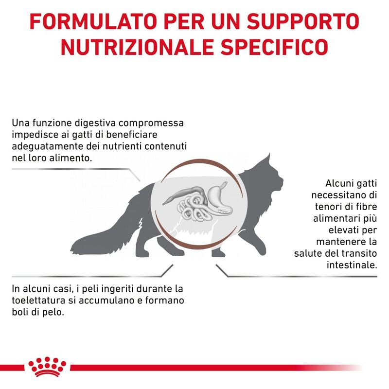 Royal Canin Veterinary Diet Cat Adult Gastrointestinal Hairball 400 gr