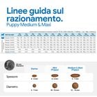 N&D Farmina Pumpkin Dog Puppy Medium & Maxi Agnello e Mirtillo 2,5 kg