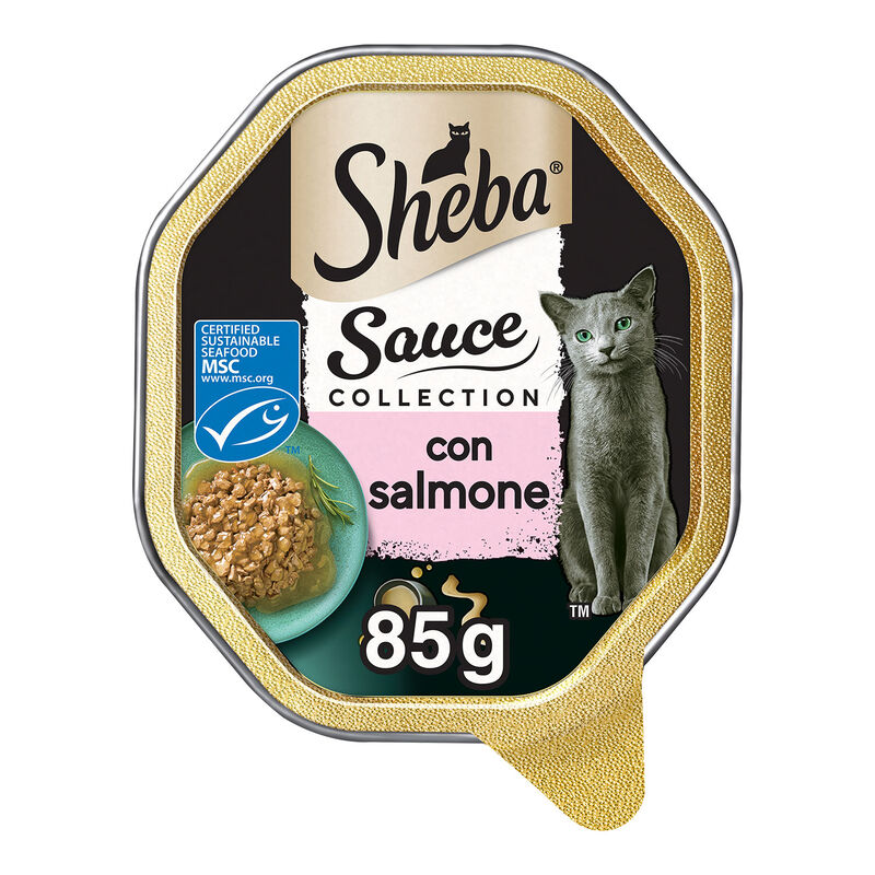 Sheba Cat Sauce Collection con Salmone 85 gr