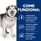 Hill's Prescription Diet Dog c/d Multicare Urinary + Metabolic 1,5 kg