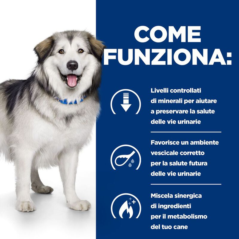 Hill's Prescription Diet Dog c/d Multicare Urinary + Metabolic 1,5 kg