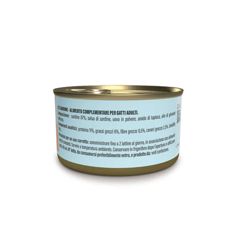 Schesir Cat Adult Paté sardine 70 gr