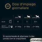 Cesar Dog Delizie del Giorno Multipack Pollo e Carote e Manzo e Verdure in Gelatina 4x100 gr