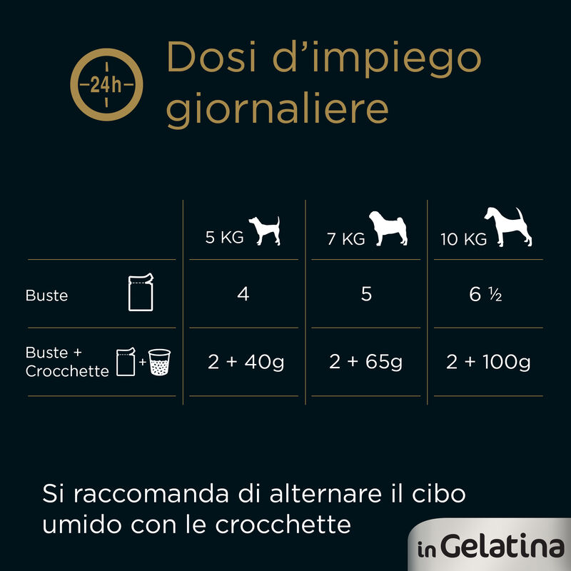 Cesar Dog Delizie del Giorno Multipack Pollo e Carote e Manzo e Verdure in Gelatina 4x100 gr
