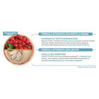 Natural Trainer Cat Exigent con Tacchino 300 gr Natural Trainer Cat Exigent con Tacchino 300 gr