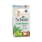 Schesir Natural Selection Dog ricco in tacchino 2,24 kg image number 0