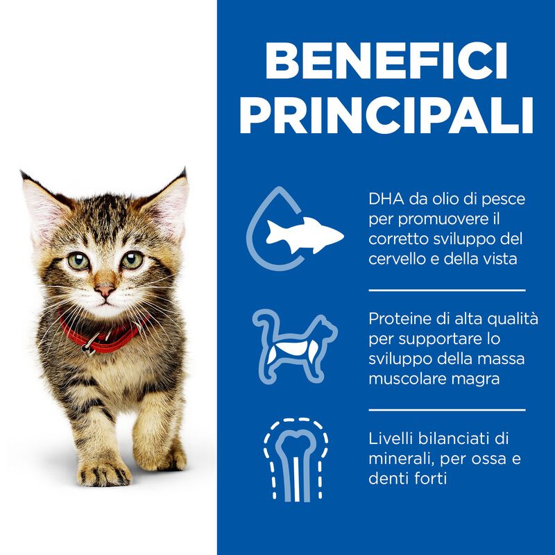 Hill's Science Plan Cat Kitten al Pollo 1,5 kg