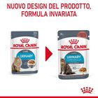 Royal Canin Cat Adult Urinary Care Gravy 85 gr